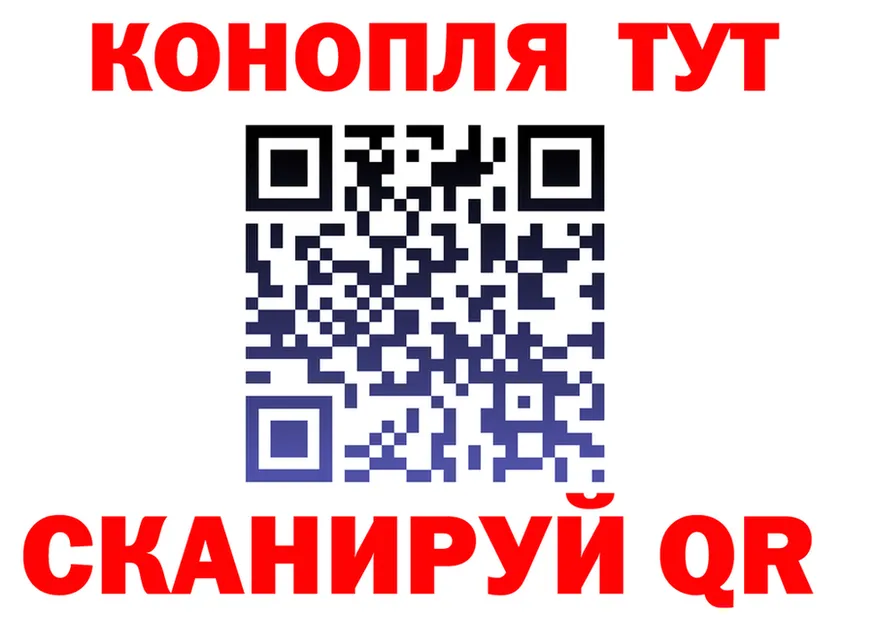 A PVP СК ТОР shop KRAKEN Камызяк