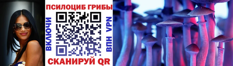 Псилоцибиновые грибы Magic Shrooms  mega ССЫЛКА  Камызяк 